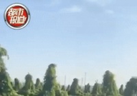 是谁干的？疑似被扔进除草剂，近百亩山药绝对不会出！农民欲哭无泪