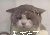 连家里的猫都要绕道走！58岁的女性突然性格发生了很大变化，发生了什么事？