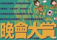 湖南卫视晚会奖励飙新创享会。