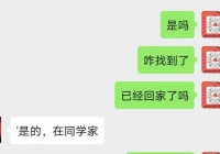 孩子已找到！寻10岁男孩：小晋源 赶紧回家！奶奶非常想念你 续